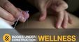 Bodies Under Construction Physio