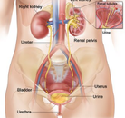  Bandingkan Sebelum & Sesudah Foto Operasi Penggantian Kelamin (Laki-Laki ke Perempuan)