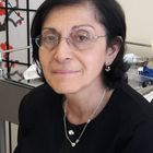 Dr Rita Mirakian 