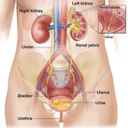 Compare Before & After Photos of _procedure_photos.phpSex Reassignment Surgery (Male to Female)