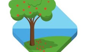 Compare Reviews, Prices & Costs of Dentistry in Dyfed at Herbrandston Dental Health Practice | M-UN1-76