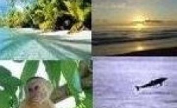 Compare Reviews, Prices & Costs of Cosmetology in San Jose at Surgery Costa Rica | M-CO3-23