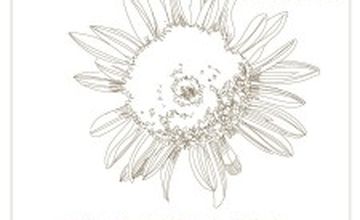 Compare Reviews, Prices & Costs of Allergology in Singapore at Dr. Tan and Partners at Scotts | M-S1-434