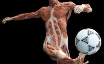 Compare Reviews, Prices & Costs of Orthopedics in Greater London at Physio for Motion | M-UN1-921