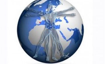 Compare Reviews, Prices & Costs of Orthopedics in Alicante at Hospital Nisa Rey Don Jaime - Dr. Delgado Torné | M-SP1-47