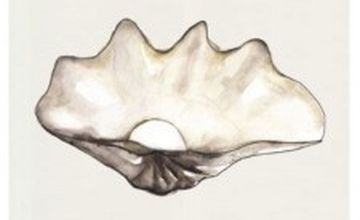 Compare Reviews, Prices & Costs of Plastic and Cosmetic Surgery in Cape Town at Dr Susan F Johnson | M-SA1-53