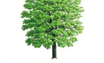 Compare Reviews, Prices & Costs of Plastic and Cosmetic Surgery in Suffolk at Beautiful Beings | M-UN1-2031