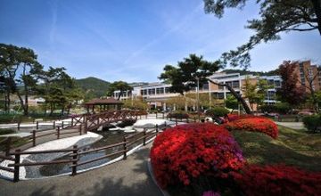 Compare Reviews, Prices & Costs of Orthopedics in Bundang at CNU Hwasun Hospital | M-SO1-9