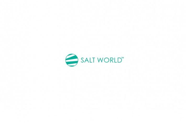 Salt World