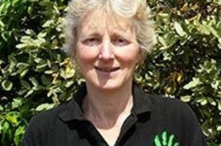 GB Physical Therapies Southend