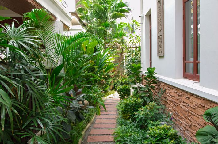 Healthi-Life Longevity Center